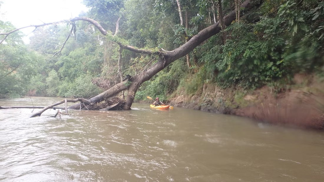 4 Days Mae Chaem River Jungle Adventure "F4" 25000฿