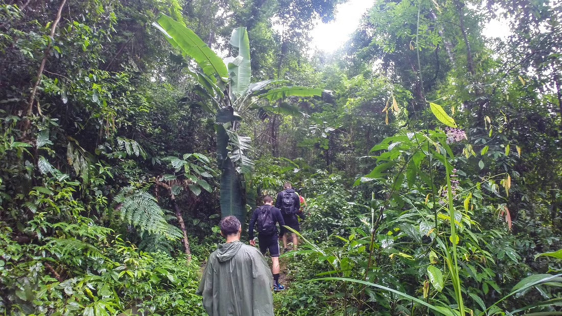 Hike & Bike Doi Suthep National Park #Trip "13 A"   2300฿