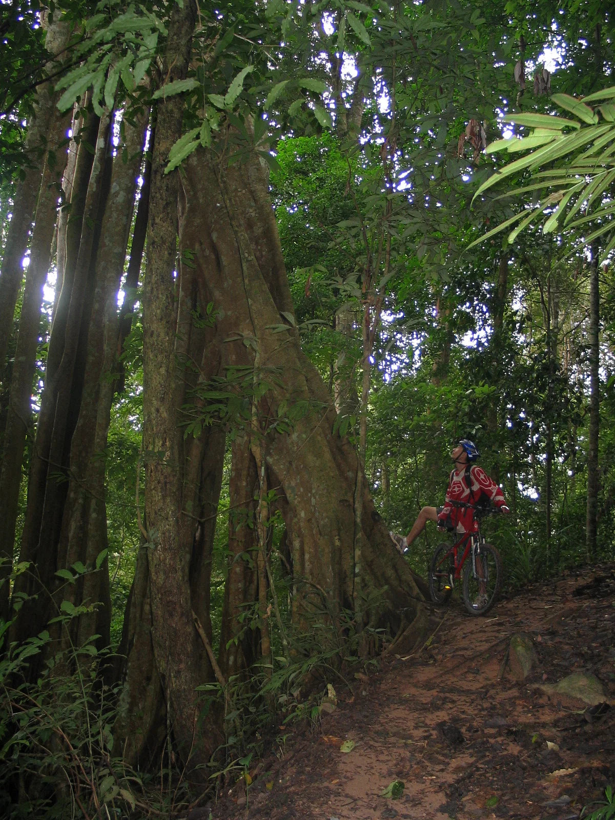 "BIKE 14" 2-Day "Highlanders Route" Doi Suthep National Park.   6500฿