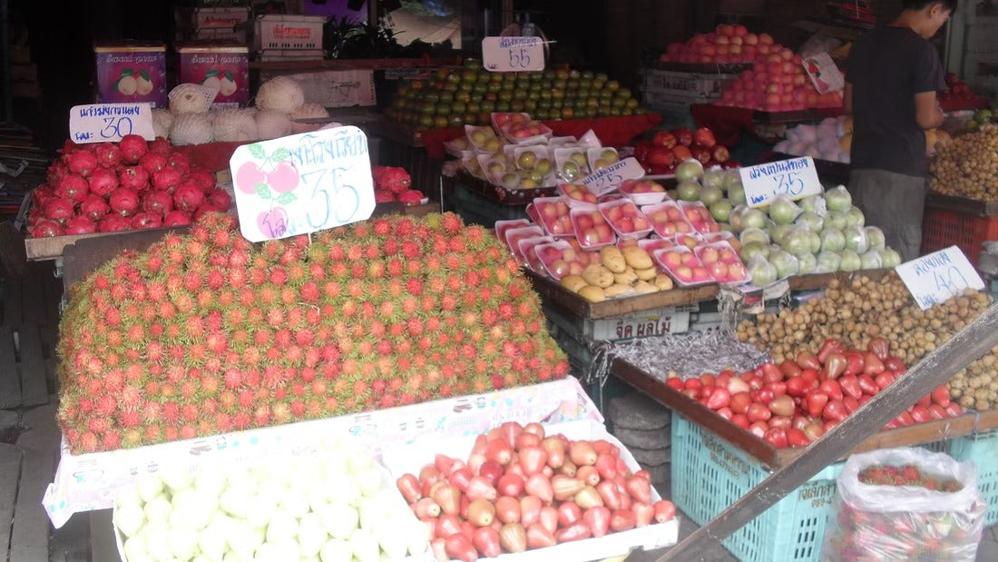 Historical Chiang Mai City Tour "7A"   1550฿