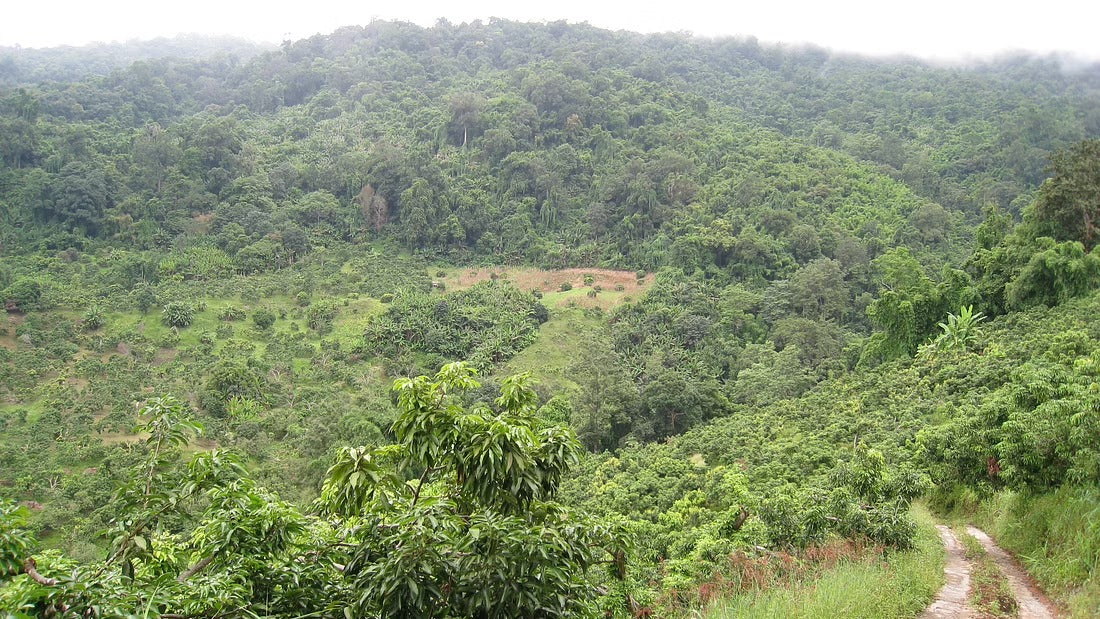 Old Smugglers Route Trip "3" 2100฿