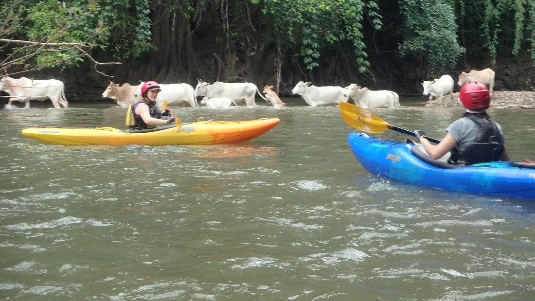 4 Days Mae Chaem River Jungle Adventure "F4" 25000฿