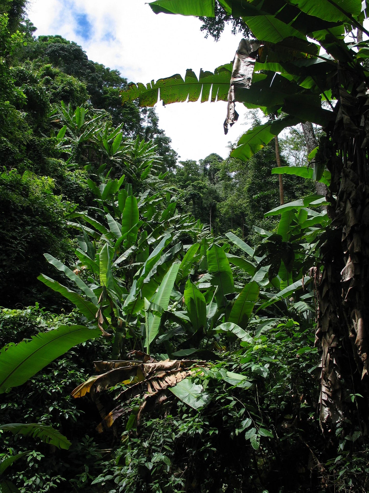 "BIKE 14" 2-Day "Highlanders Route" Doi Suthep National Park.   6500฿