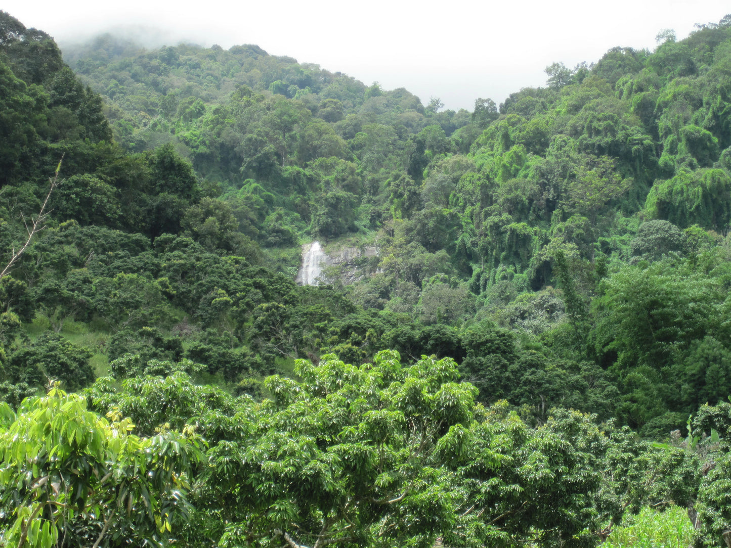 "BIKE 14" 2-Day "Highlanders Route" Doi Suthep National Park.   6500฿