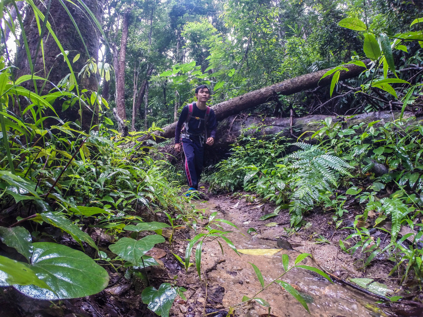 HIKE # T 3 2-DAY HIKE ADVENTURE, DOI SUTHEP 5700฿
