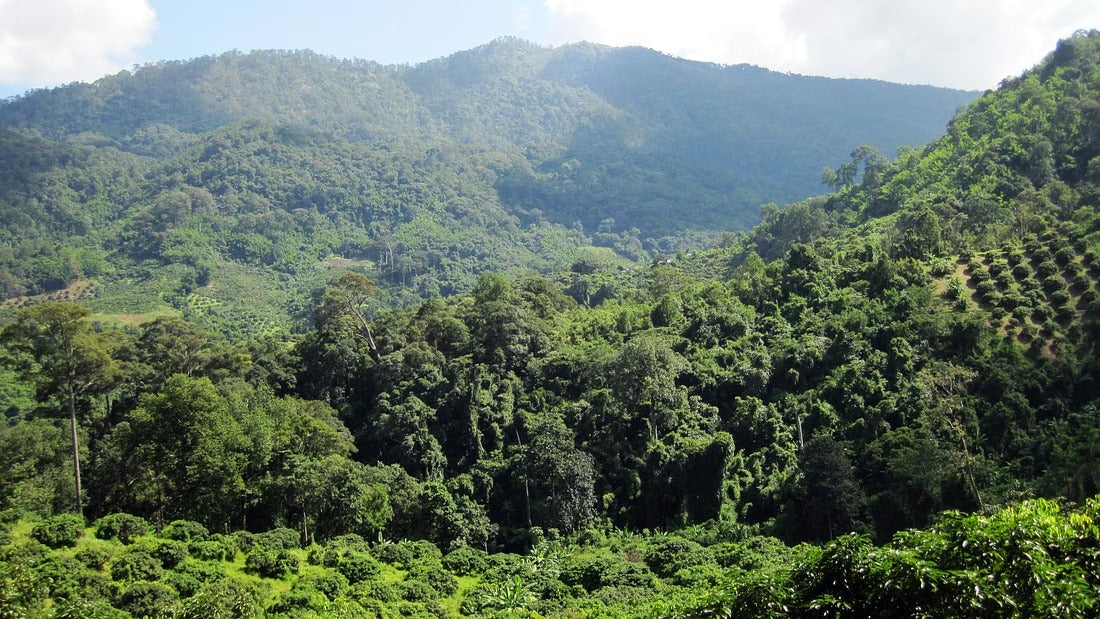 Old Smugglers Route Trip "3"   2300฿