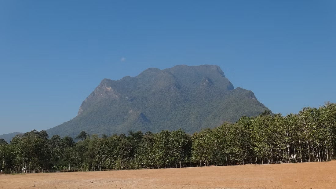 2 Days Mae Ping River Jungle and Valley Adventure "F"   7500฿