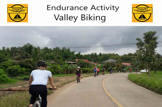 "7XC"  Road Ride, Mae Ngat Valley to Chiang Mai, 60 km.    1950฿