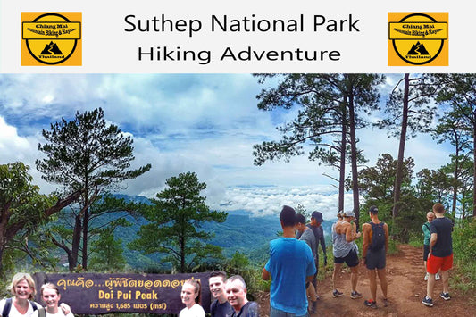 HIKE # T1 “6-HOUR DOI PUI SUMMIT HIKE IN DOI SUTHEP PUI NATIONAL PARK 2200 ฿