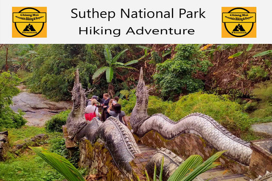 HIKE # T2 3-HOUR HIKE “MONK TRAIL ” TO WAT DOI SUTHEP  2000 ฿