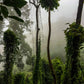 HIKE # T 3 2-DAY HIKE ADVENTURE, DOI SUTHEP   5700฿
