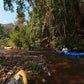 "GAP" The Gap Jungle Kayak Tour    2100฿