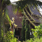 Mae Ngat Valley Kayak Traverse "C"   2300฿