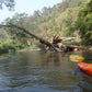 4 Days Mae Chaem River Jungle Adventure "F4" 25000฿