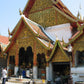 Trip # 9 Doi Suthep National Park Cultural Hike and Leisure DH Biking   1950฿