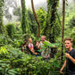 HIKE # T1 “6-HOUR DOI PUI SUMMIT HIKE IN DOI SUTHEP PUI NATIONAL PARK 1850฿
