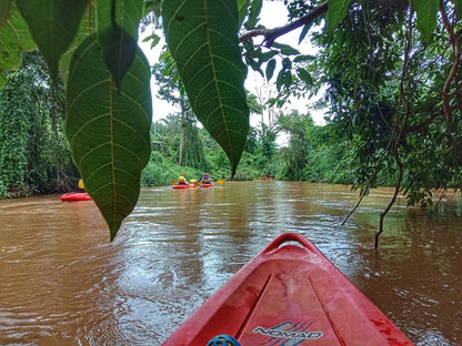 Kayak # A+ “Cave & Jungle Kayak Adventure”   2500฿