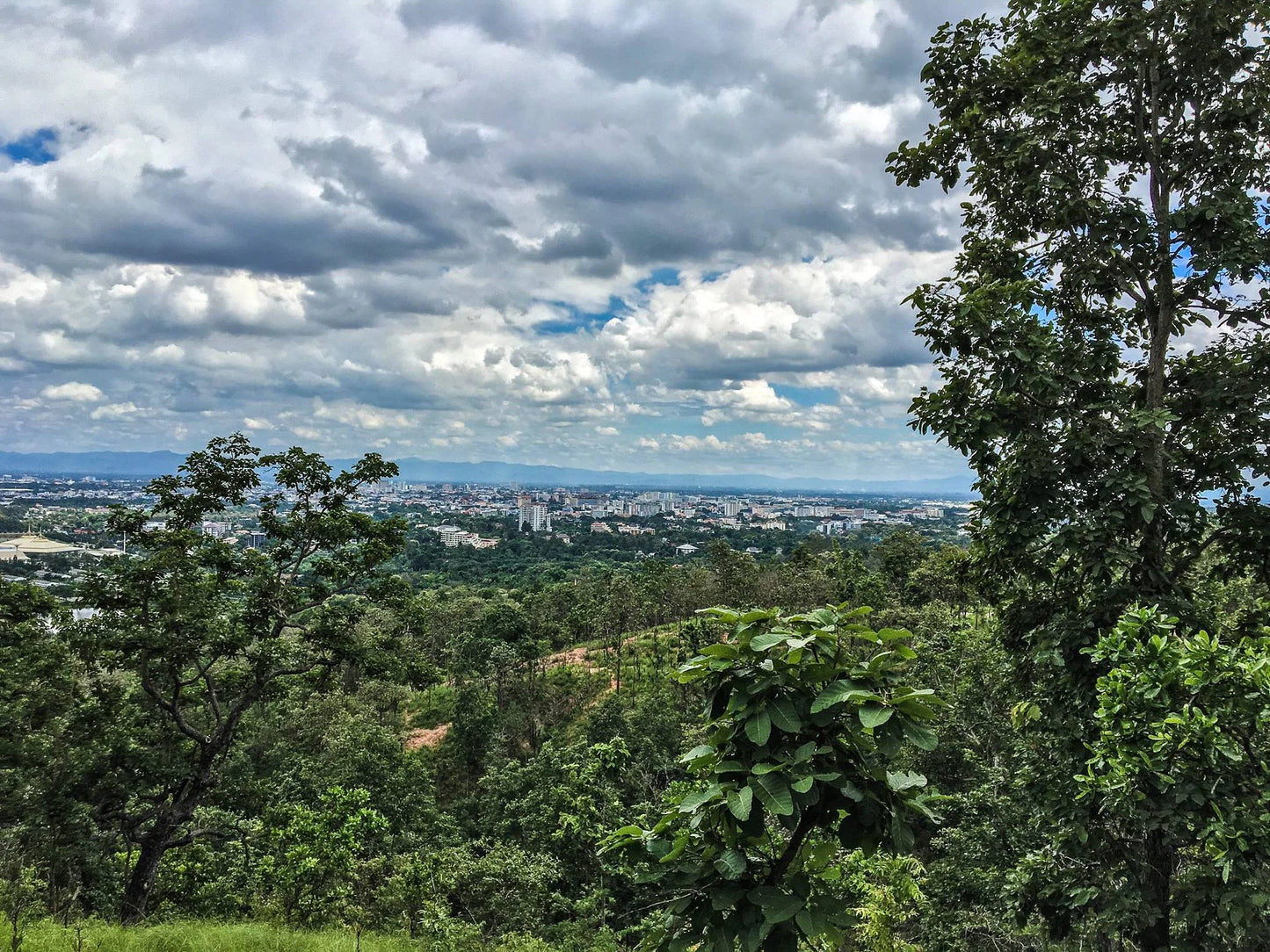 HIKE # T1 “6-HOUR DOI PUI SUMMIT HIKE IN DOI SUTHEP PUI NATIONAL PARK 1850฿