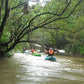 2 Days Mae Ping River Jungle and Valley Adventure "F"   7500฿