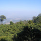 HIKE # T 3 2-DAY HIKE ADVENTURE, DOI SUTHEP   5700฿
