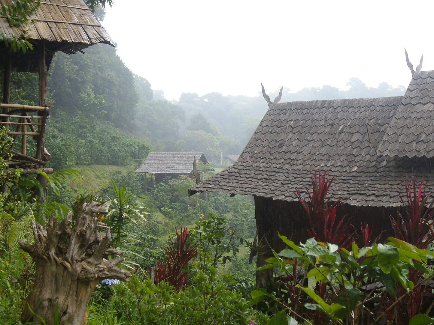 HIKE # T1 “6-HOUR DOI PUI SUMMIT HIKE IN DOI SUTHEP PUI NATIONAL PARK 1850฿