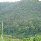 Rain forest Jungle single & Jeep track mountain biking Trip #8    2100฿