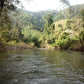 4 Days Mae Chaem River Jungle Adventure "F4" 25000฿