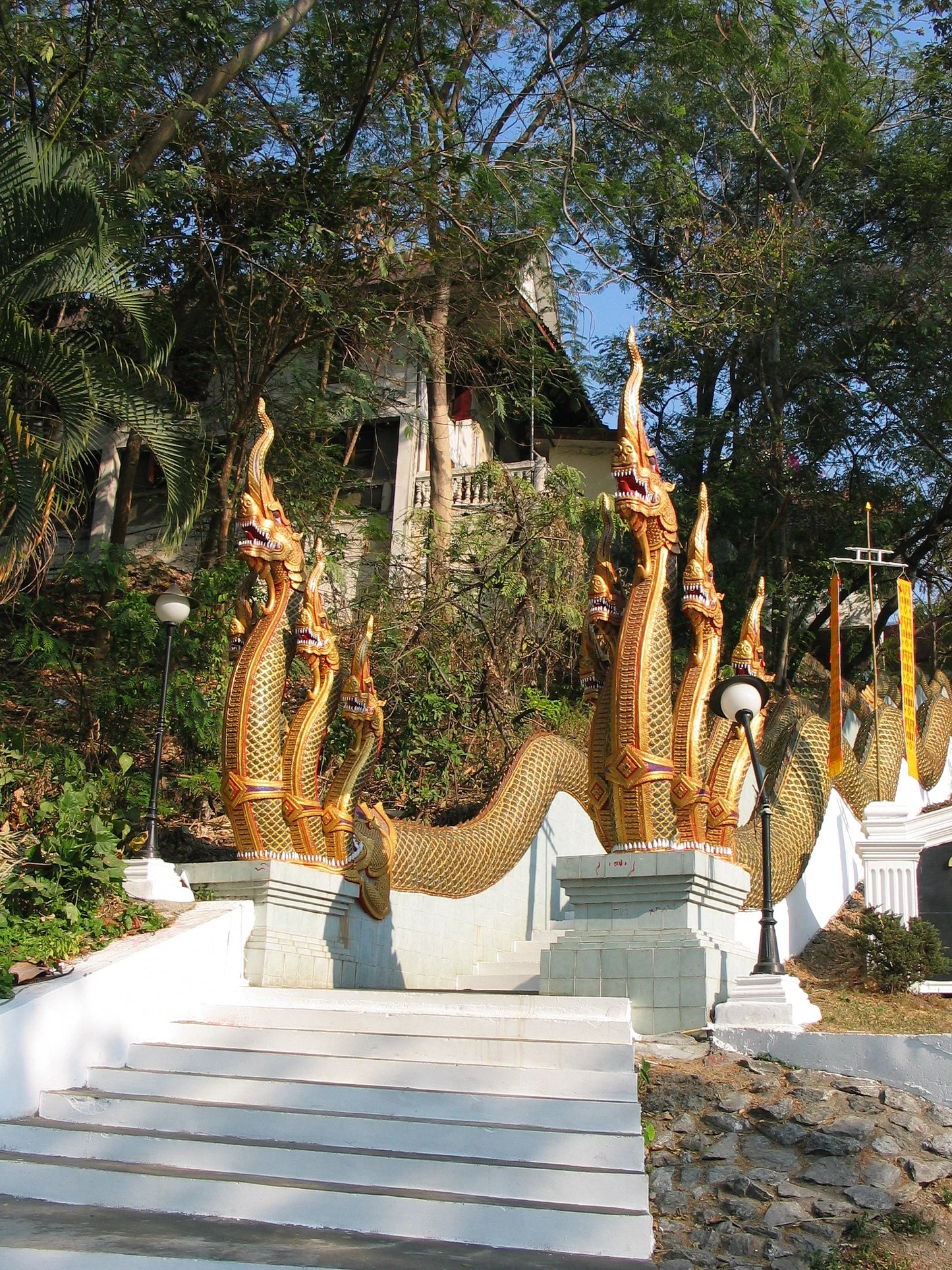 HIKE # T1 “6-HOUR DOI PUI SUMMIT HIKE IN DOI SUTHEP PUI NATIONAL PARK 1850฿