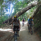 "BIKE 14" 2-Day "Highlanders Route" Doi Suthep National Park.   6500฿