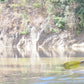 Mae Ngat Valley Kayak Traverse "C"   2300฿