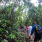HIKE # T1 “6-HOUR DOI PUI SUMMIT HIKE IN DOI SUTHEP PUI NATIONAL PARK 1850฿
