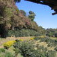 "BIKE 14" 2-Day "Highlanders Route" Doi Suthep National Park.   6500฿