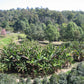 "BIKE 14" 2-Day "Highlanders Route" Doi Suthep National Park.   6500฿