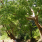 2 Days Mae Ping River Jungle and Valley Adventure "F"   7500฿