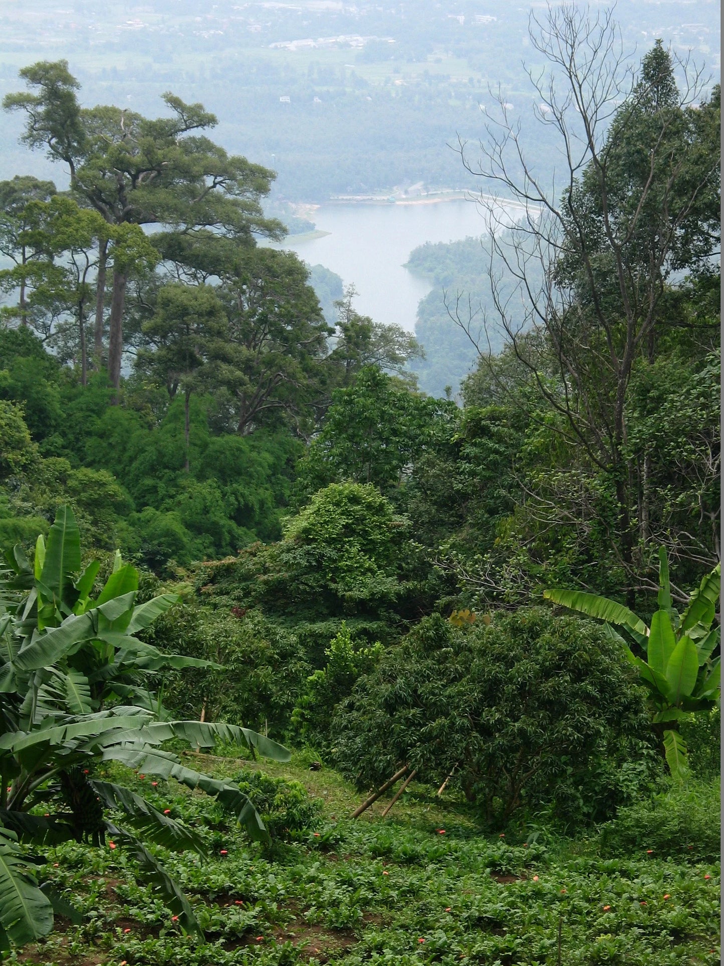 BIKE #13 2 DAY HIKE & BIKE SUTHEP NATIONAL PARK   5700฿