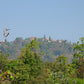 HIKE # T1 “6-HOUR DOI PUI SUMMIT HIKE IN DOI SUTHEP PUI NATIONAL PARK 1850฿