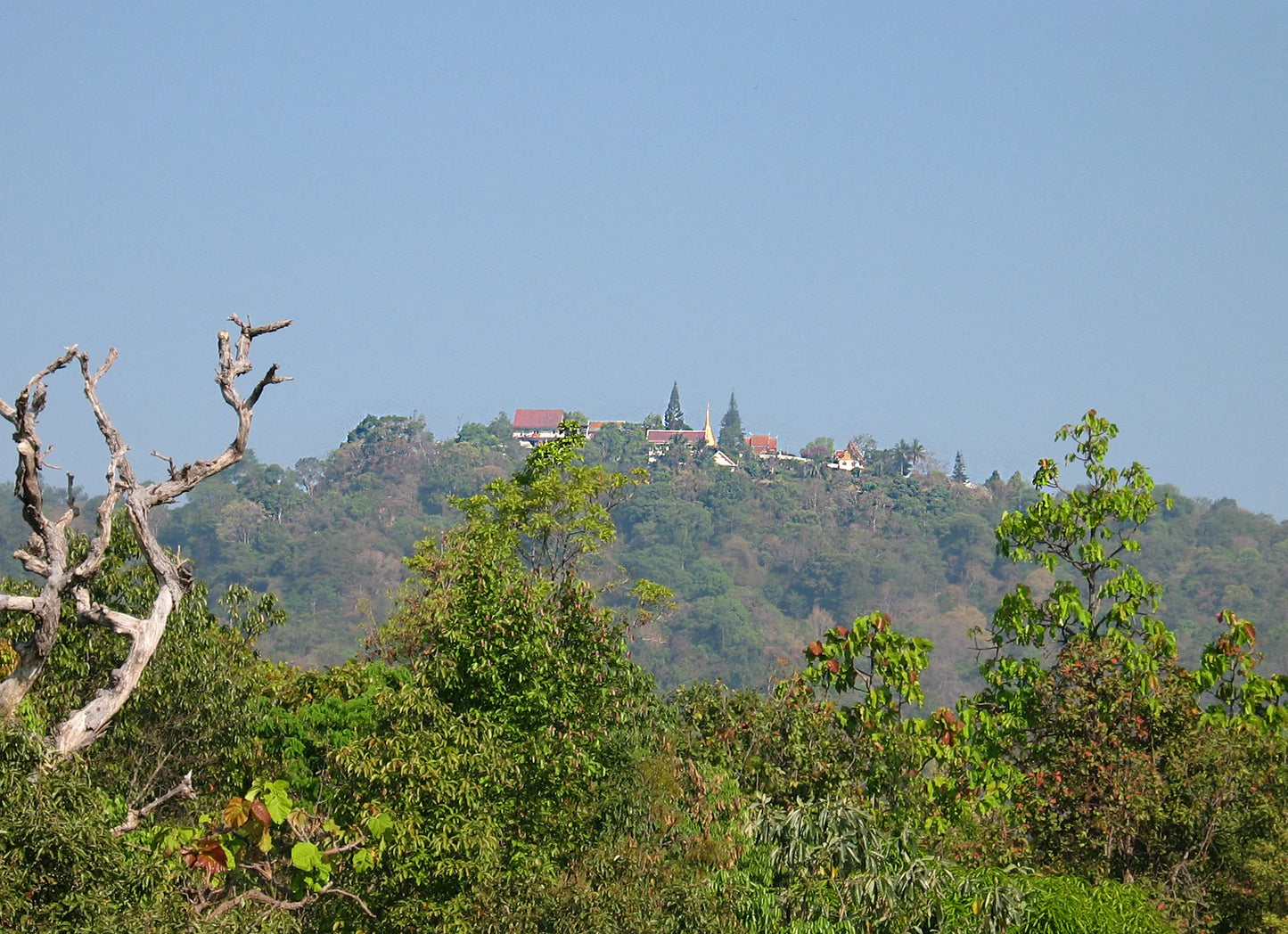 HIKE # T1 “6-HOUR DOI PUI SUMMIT HIKE IN DOI SUTHEP PUI NATIONAL PARK 1850฿