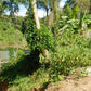 2 Days Mae Ping River Jungle and Valley Adventure "F"   7500฿