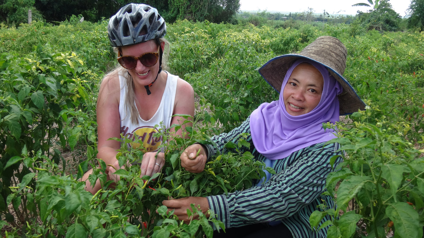 "7X"  Cross Country Leisure biking, Mae Ngat Valley.   1950 ฿