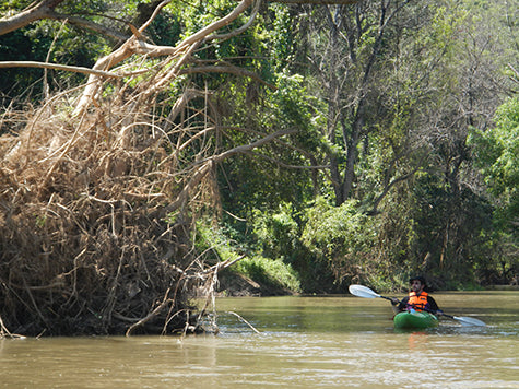Chiang Dao Jungle Kayak Adventure "A"   2100฿