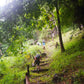 "TAK" TAKKATAN HIKE AND BIKE    2500฿