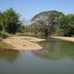 Chiang Dao Valley Kayak Adventure "B"  2100฿