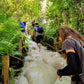 Sticky Waterfall Cross Country Ride #Trip "1B"   2100฿