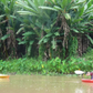 MID Mae Ngat Valley Bike & Kayak Traverse " 20 "    2300฿