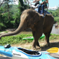 Mae Wang Rock Hopper Jungle Kayaking "E"   2300฿