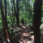 Mon Long Peak Hike & Bike #Trip "13 B"    2550฿
