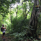 Mon Long Peak Hike & Bike #Trip "13 B"    2550฿