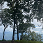 Mon Long Peak Hike & Bike #Trip "13 B"    2550฿