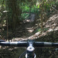 Rain forest Jungle single & Jeep track mountain biking Trip #8    2100฿