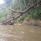 4 Days Mae Chaem River Jungle Adventure "F4" 25000฿